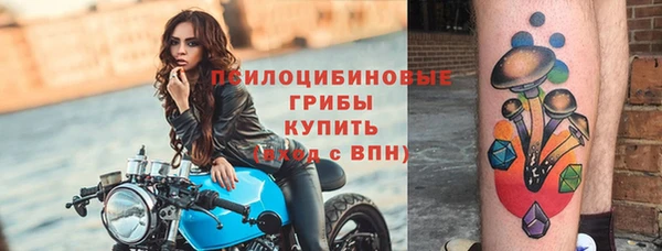 тгк Зеленокумск