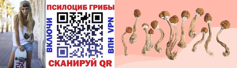 Псилоцибиновые грибы MAGIC MUSHROOMS  Купить  Лабытнанги 